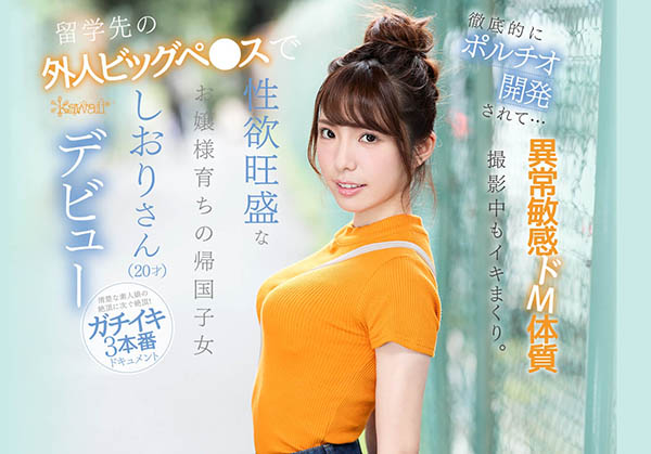 芦那しおり(芦那诗织)品番作品IPX-376介绍及预览-八凡集