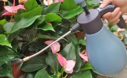 养花浇水过程中需要掌握的小窍门 扣水和回水的区别-八凡集