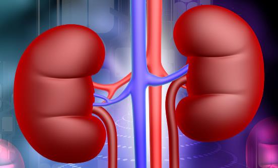 女性产后易出现肾虚症状 产后吃什么补肾效果最好-八凡集