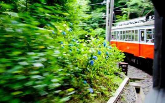 出境旅游的自我保护 避免卷入不必要的麻烦-八凡集