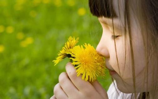 为啥高知家庭的孩子易自闭？-八凡集