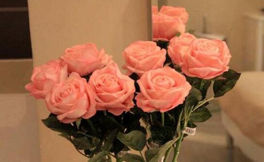 玫瑰花如何保存才能持久不枯 延长玫瑰花保鲜期的小妙招-八凡集