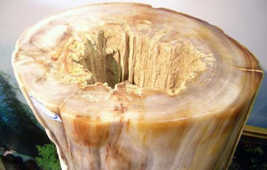 树化玉有哪些价值？-八凡集