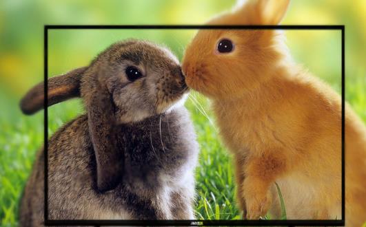 选购智能电视 为各式新颖的电视机款式解码-八凡集