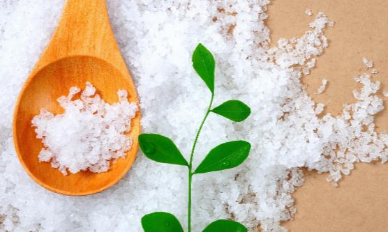 宝宝从多大开始需要吃盐 宝宝错吃盐的危害大宝妈要避免-八凡集