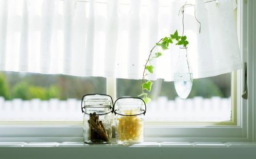 畏寒花卉春季出室的经验 掌握花卉的生长规律是关键-八凡集