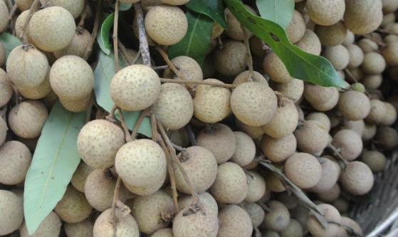 孕妇科学健康饮食最重要 孕妇不能吃的10种食物-八凡集