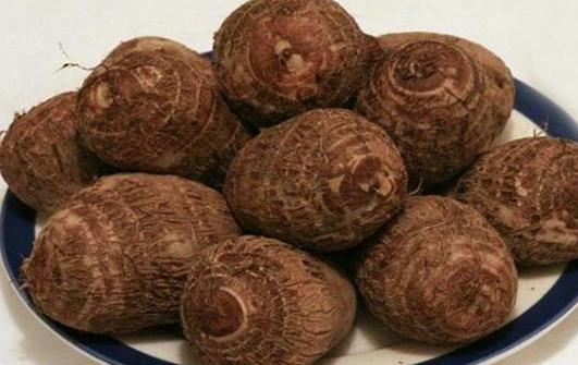 致癌植物知多少 和有毒植物打交道的窍门-八凡集