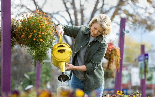 7月份适合种植什么花卉？-八凡集