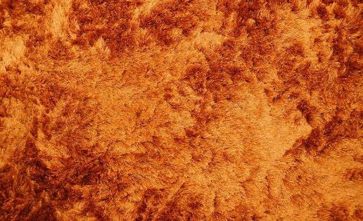 地毯应该如何清洗与保养-八凡集