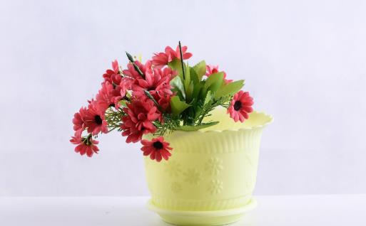 养花时花盆大小和深浅的选择 教你在养花路上少走弯-八凡集