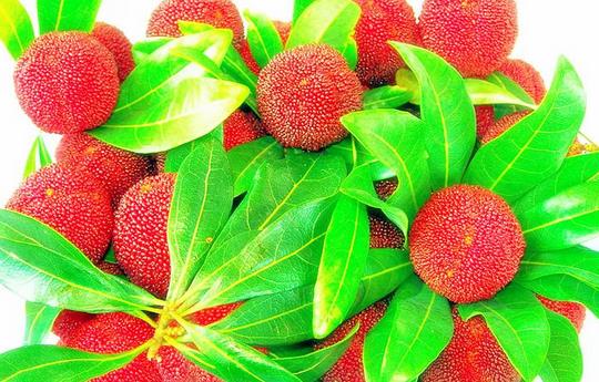 白色衣服染上杨梅汁怎么办-八凡集