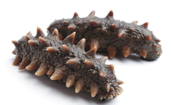 哺乳期能吃海参吗 哺乳期吃海参的最佳时间-八凡集