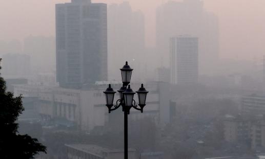 家里种什么植物能够对抗雾霾-八凡集