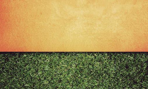 墙壁发霉了该怎么办-八凡集