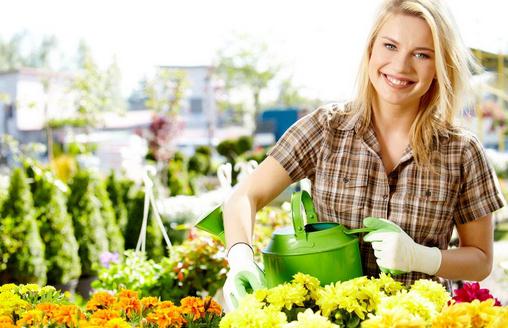 六月份适合种植哪些花？-八凡集