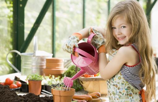 浇水不当是花卉死亡的主要原因 养花要从学浇水开始-八凡集