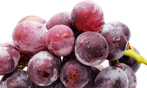 孕妇吃水果的注意事项 四种营养水果食谱补充营养-八凡集