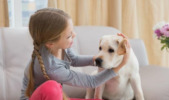 狗狗吃生骨肉的好处 喂食狗狗生肉需要注意的地方-八凡集