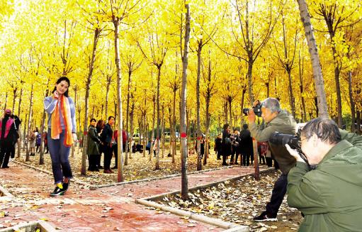 拍摄时,利用这6种对比构图手法,可以增强照片画面的视觉