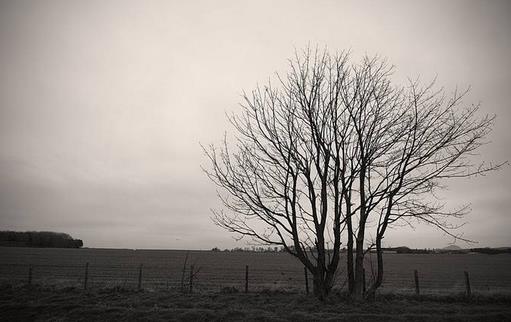 这些急救措施存在隐患!