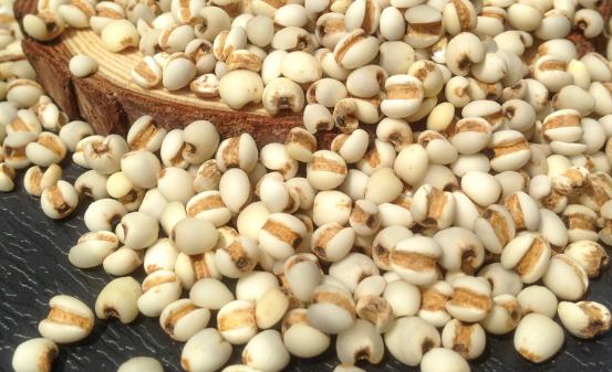 薏仁米的8大功效 虚寒体质及孕妇勿多食-八凡集