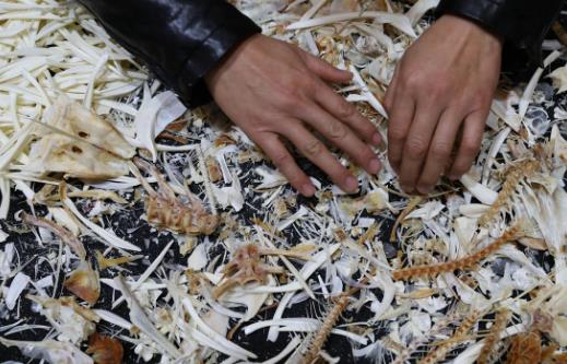 生活中常见的急救小常识 了解更多的日常急救方法-八凡集