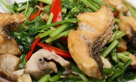 正确使用食用油 炒菜少油的小诀窍-八凡集