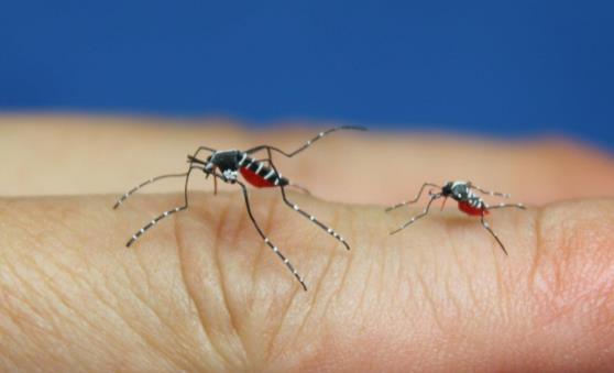 推荐驱除蚊子的好方法 整夜都不会被蚊子打扰哦-八凡集