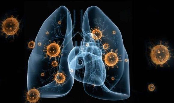 24问新型冠状病毒肺炎乙类传染病 事实到勘谬最全知识点-八凡集