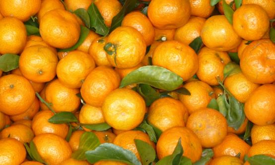 常食沙糖桔祛痰平喘调理脾胃 食用沙糖桔的注意事项-八凡集