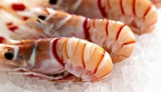 教你如何快速解冻冷冻食品-八凡集