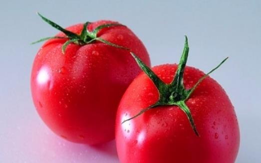 挑选西红柿 告诉你四招识别催熟西红柿-八凡集