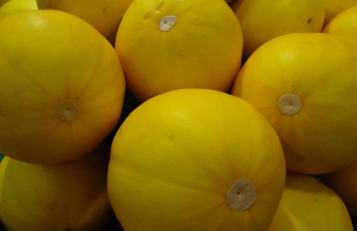 哈密瓜熟不熟?看这几个地方就知道