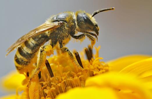 20个生活中的急救常识日常生活中,意外伤害很难避免,有时