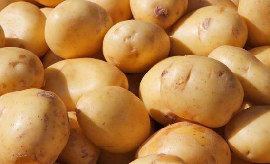 相生相克的食物可不能在一起吃 平时饮食可要注意啦-八凡集