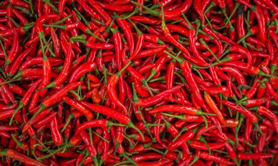 遭嫌弃却深含大营养的食物 难吃却最营养