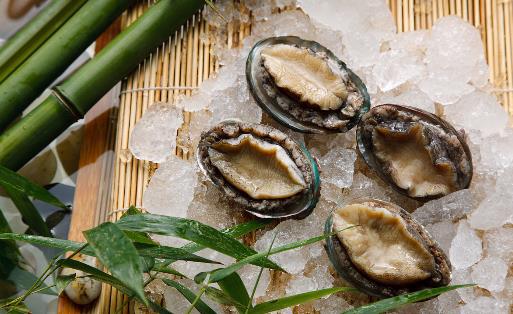 鲍鱼该如何清洗？鲍鱼如何挑选-八凡集