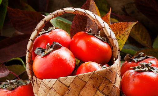 冬季吃柿子容易长结石吗 成熟柿子可以放心随便吃-八凡集