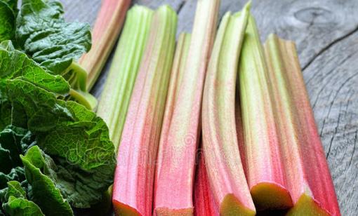 注意!误食这些蔬菜可能会中毒我们的一日三餐中总是缺少