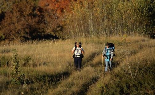 这些求生知识既简单又不难 关键时刻能救命-八凡集