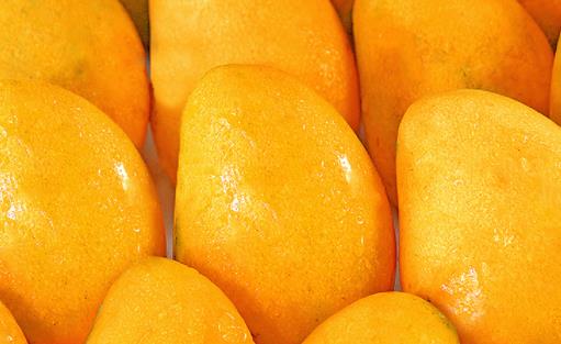 小台芒好还是贵妃芒好小台芒怎么切方便吃-八凡集