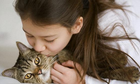 吸猫有风险 免疫力低尽量别养猫-八凡集