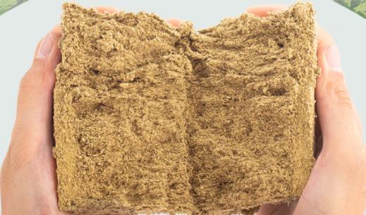 艾灸拉肚子怎么处理 艾灸起水泡还能继续艾灸吗