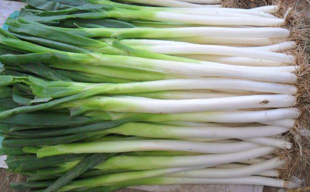 大葱的功效与作用 3类人不宜吃葱-八凡集