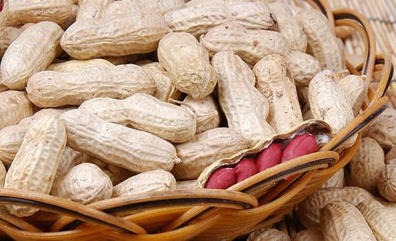 花生称为长生果 常吃吃花生四大好处-八凡集