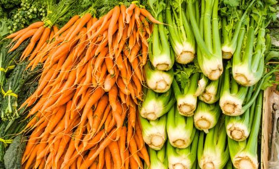 蔬菜也有很好的降血糖作用 推荐20种降血糖的蔬菜-八凡集