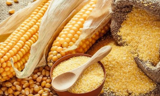 遭嫌弃却深含大营养的食物 难吃却最营养-八凡集