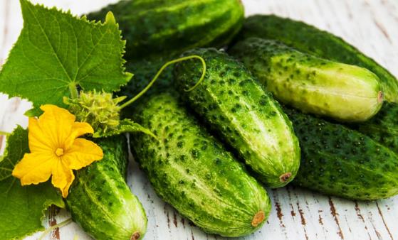 爱上黄瓜的11个理由 几道黄瓜快手菜夏日必备-八凡集