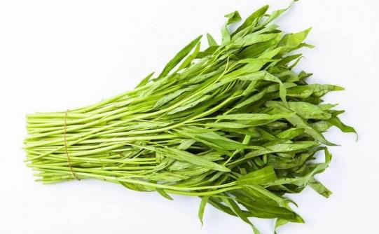 蕹菜的功效与作用 蕹菜的三种美味做法-八凡集